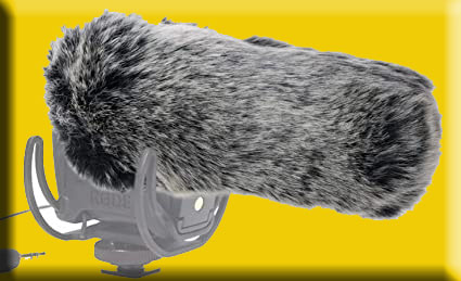 rodemic